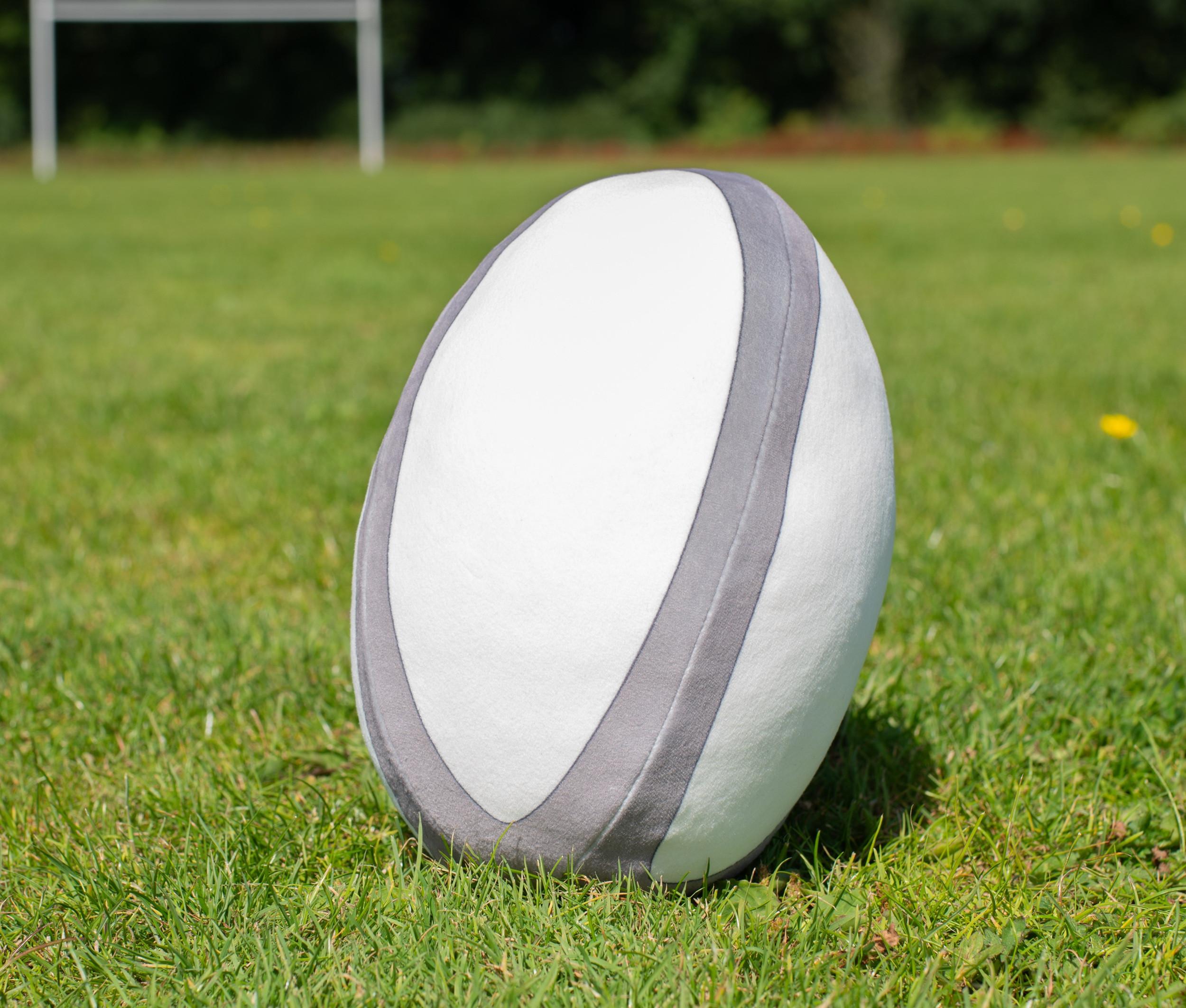 Peluche ballon de rugby