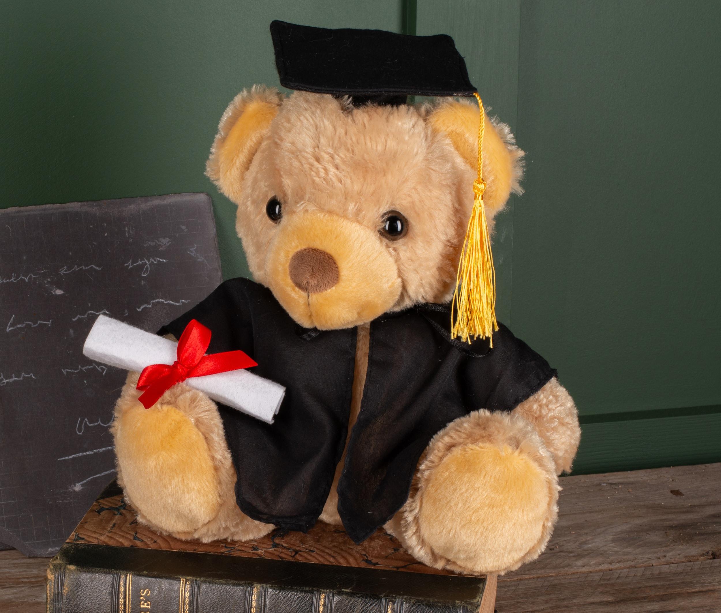 Ours en peluche diplomé