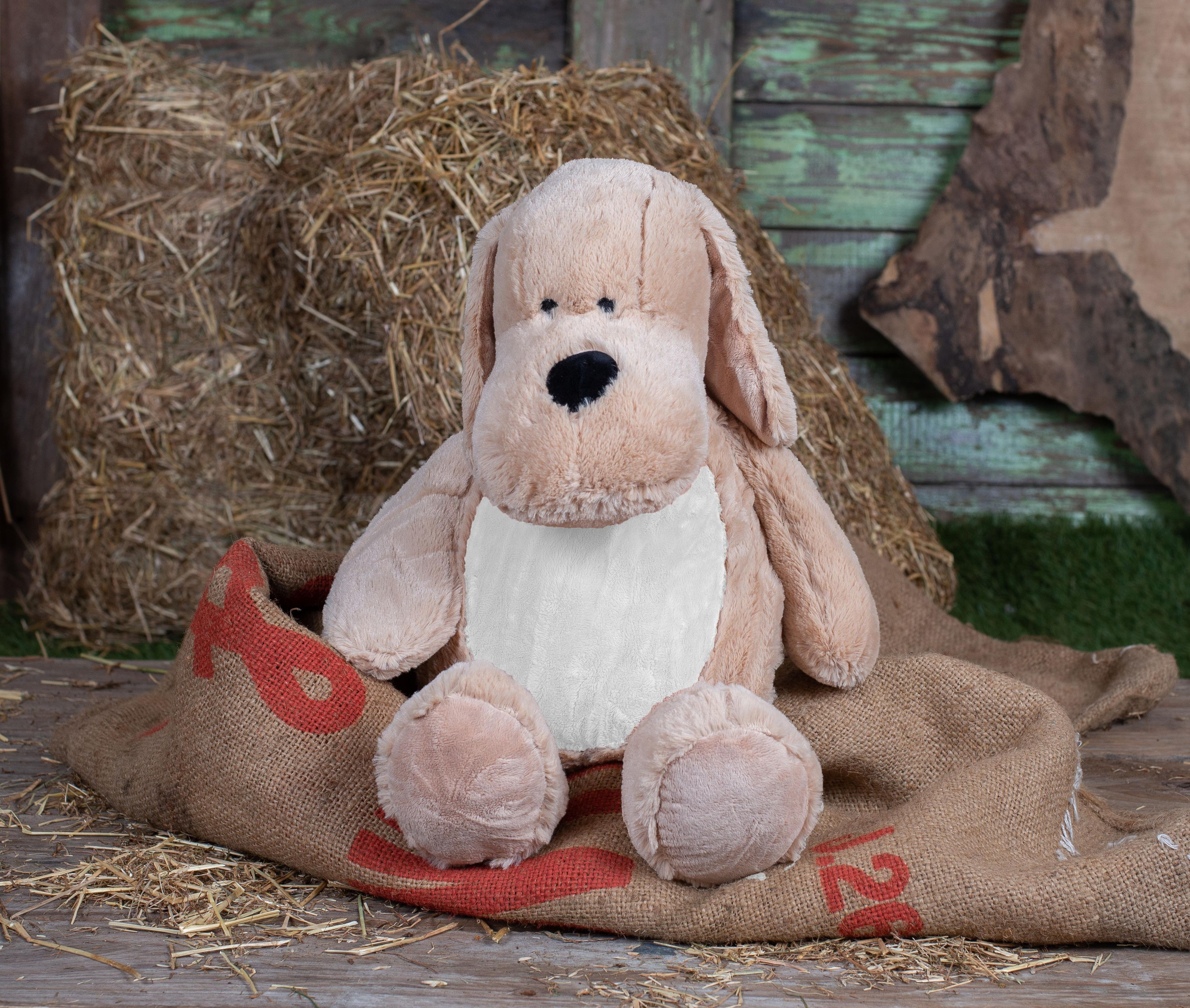 Chien avec ouverture zippée