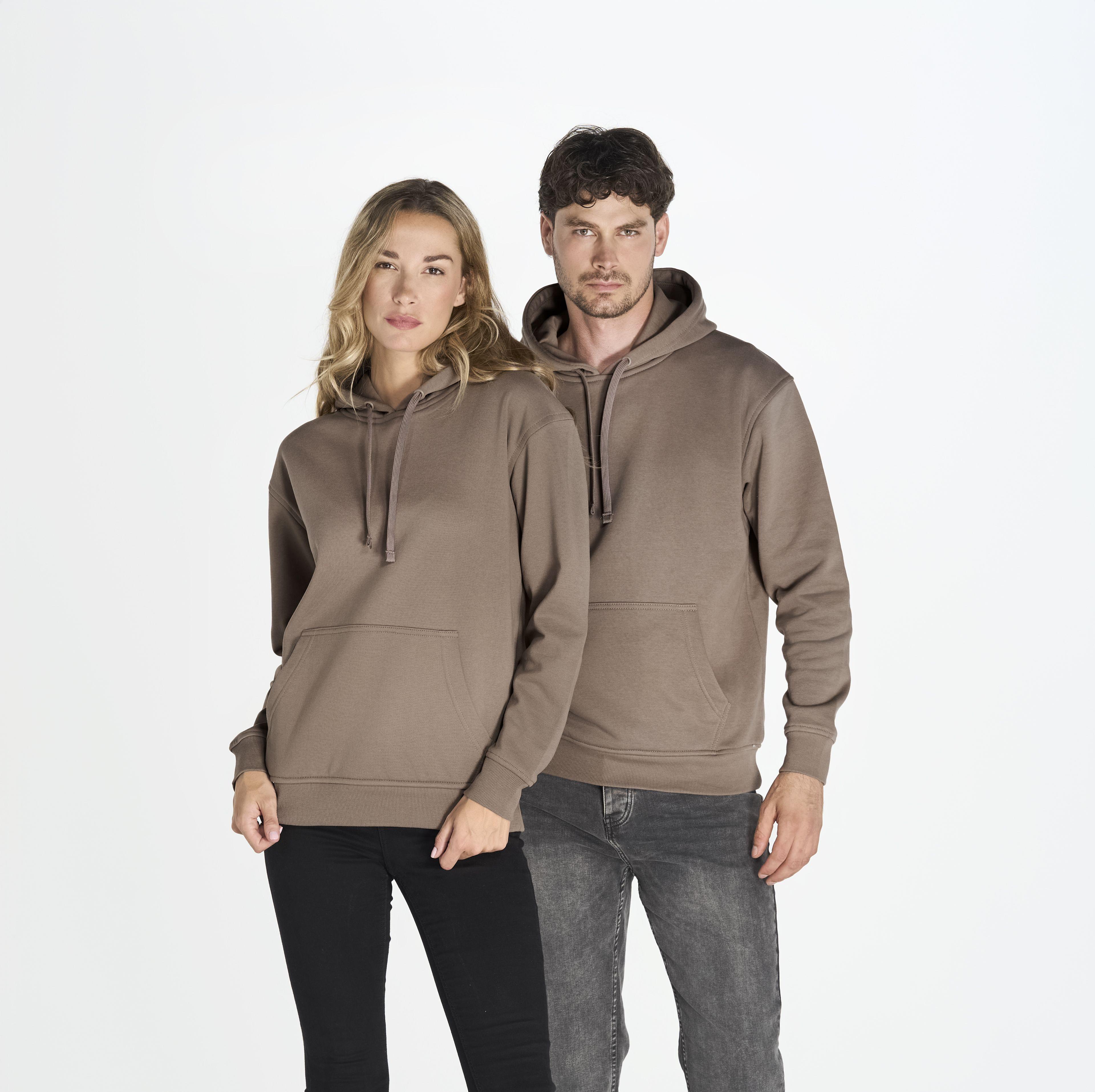 Sweat capuche 290