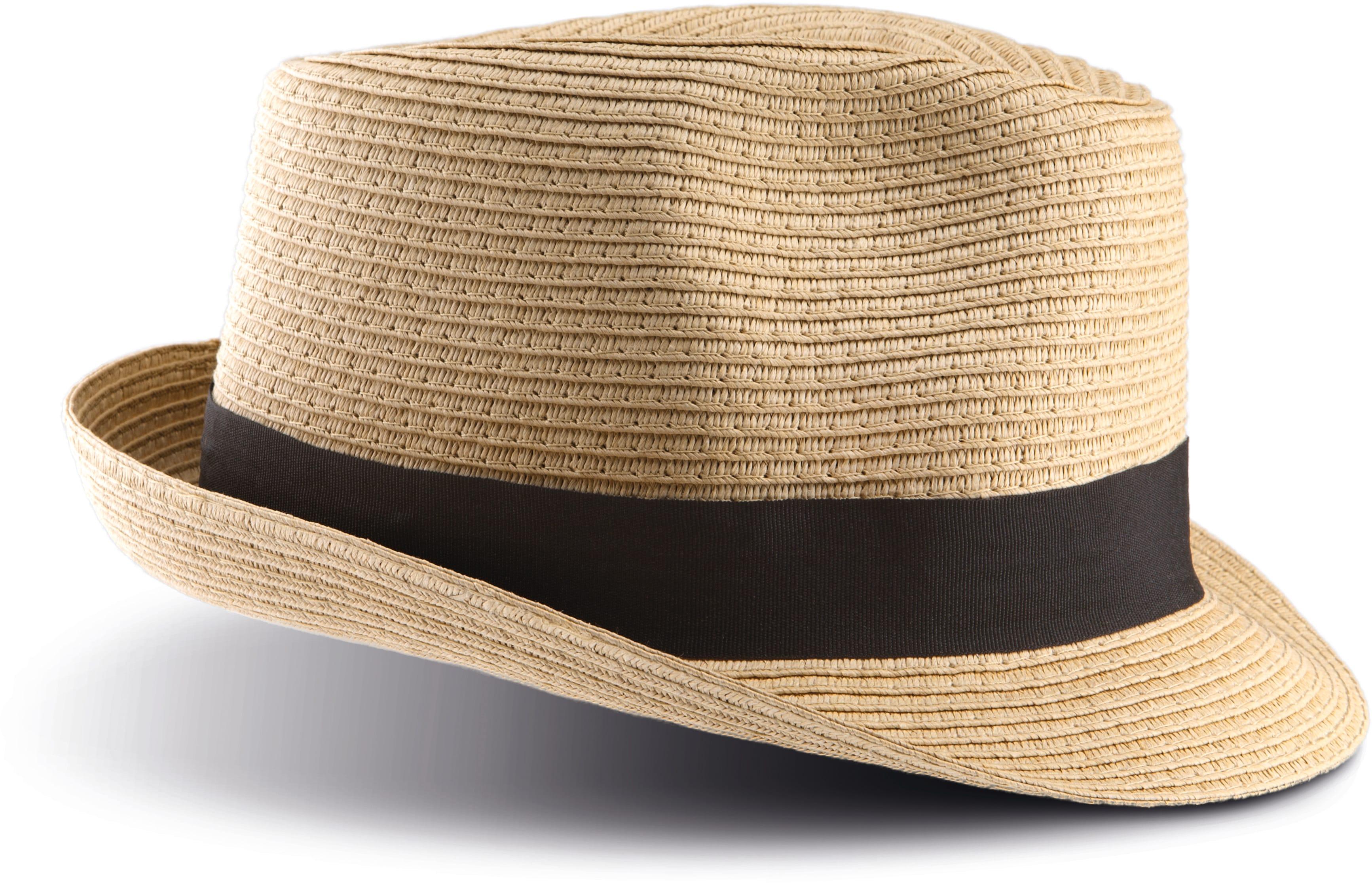 Chapeau Panama